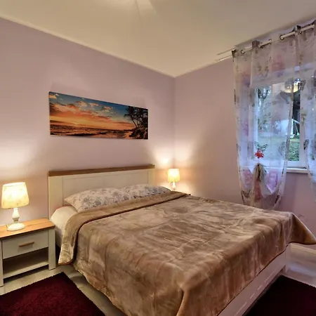 Zizi アパート Viskovo