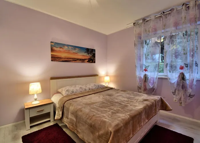 Zizi アパート Viskovo